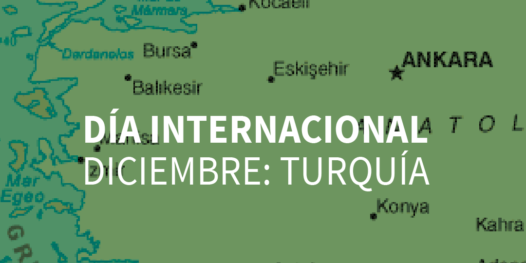 turquuuia-51