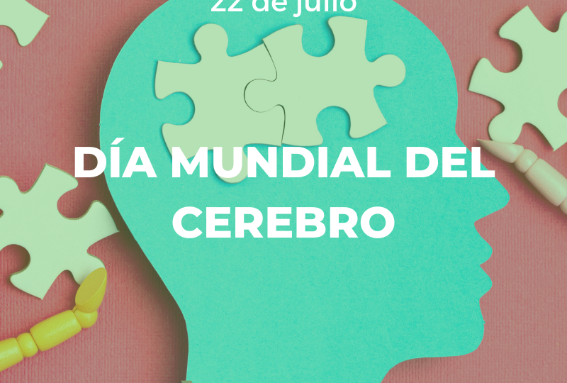 diacerebro